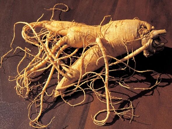 Ginseng kökü