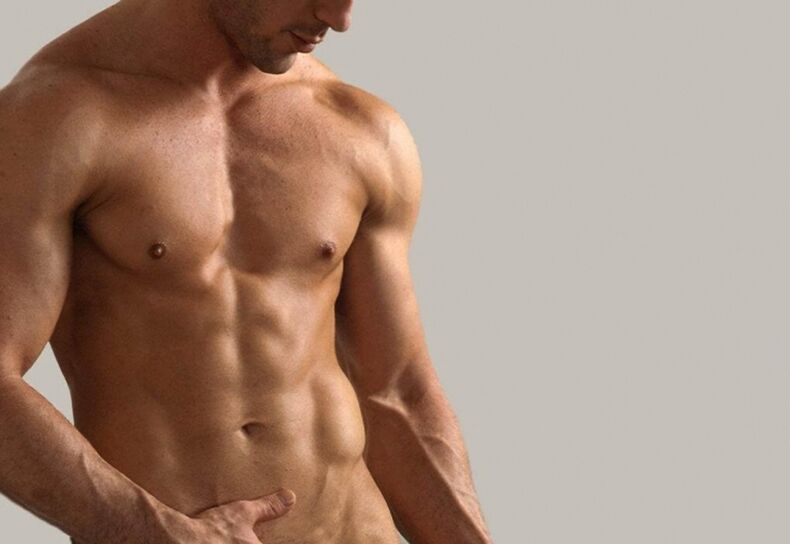 Kişi torso