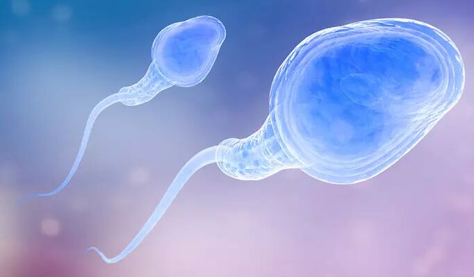 Spermatozoa kişidə əvvəlcədən boşalmada ola bilər