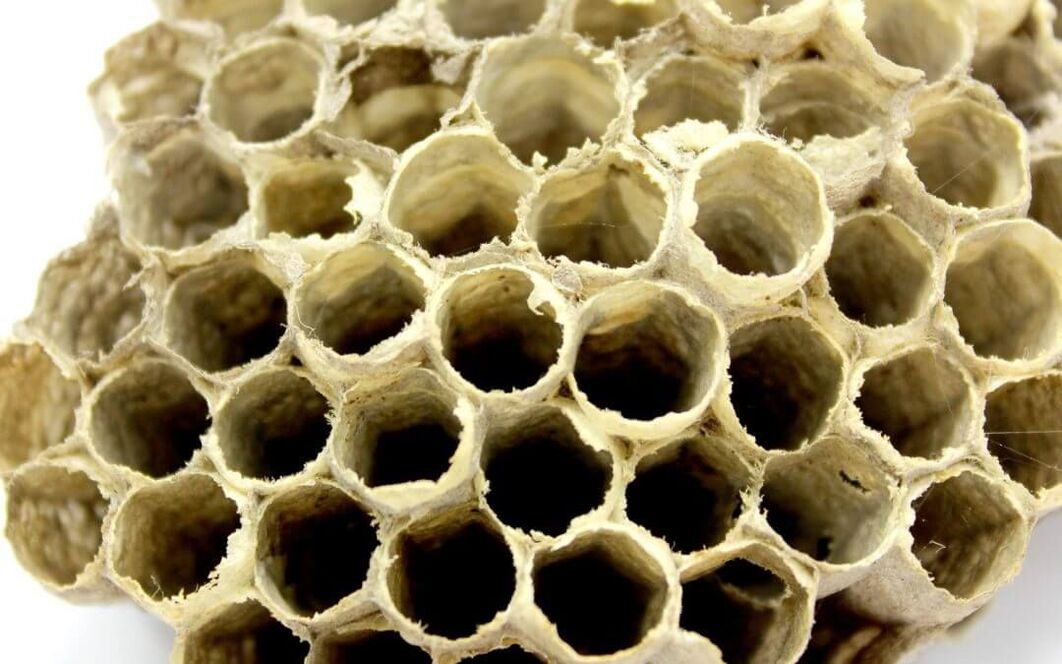 potensialı artırmaq üçün arı yapışqan